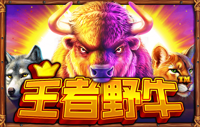 b体育旧版本